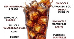 img_9829.jpeg img_9829.jpeg