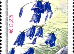 design_big.jpeg design_big.jpeg