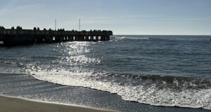 le%20bombe%20di%20paglia.jpeg le%20bombe%20di%20paglia.jpeg