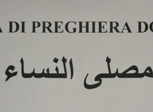 dsc_0027_2_ridimensionare.jpeg dsc_0027_2_ridimensionare.jpeg