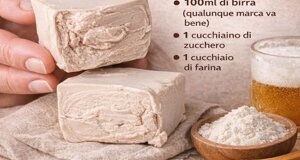 img_9840.jpeg img_9840.jpeg