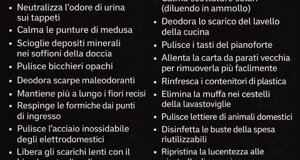 img_0002.jpeg img_0002.jpeg