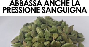 news%20dal%20web%20(30)