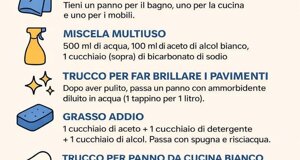 img_9787.jpeg img_9787.jpeg