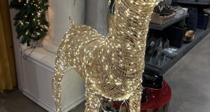 img_0228.jpeg img_0228.jpeg