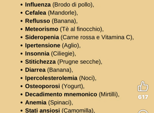 img_9666.jpeg img_9666.jpeg