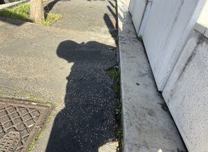 ombra%20sul%20muro.jpeg