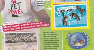 immagini%202025_20250727_0034.jpeg immagini%202025_20250727_0034.jpeg