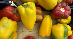 napoli notte 5 rid.jpeg