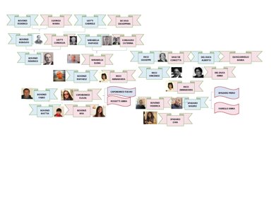 albero 2.jpeg albero 2.jpeg