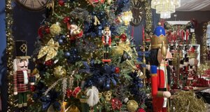 img_0219.jpeg img_0219.jpeg