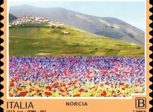 eccellenze_spettacolo2.jpeg eccellenze_spettacolo2.jpeg