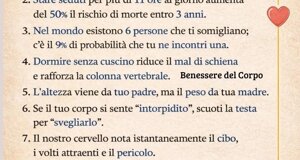 img_9807.jpeg img_9807.jpeg