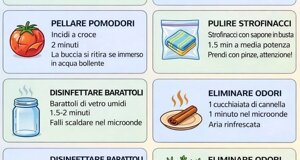 img_9836.jpeg img_9836.jpeg