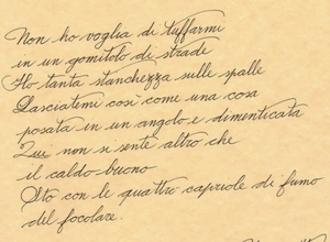 img_9452.jpeg img_9452.jpeg