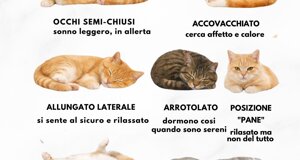 img_9779.jpeg img_9779.jpeg