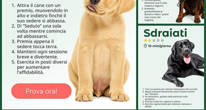 img_9835.jpeg img_9835.jpeg