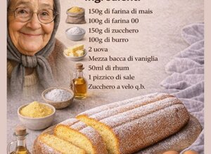 img_9680.jpeg img_9680.jpeg