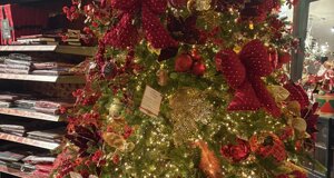 img_0213.jpeg img_0213.jpeg