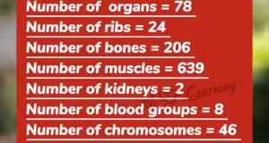 img_9778.jpeg img_9778.jpeg