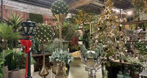 img_0225.jpeg img_0225.jpeg