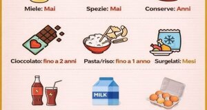 img_9986.jpeg img_9986.jpeg