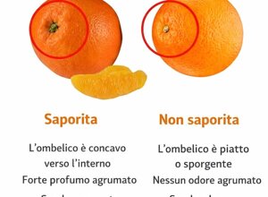 img_9674.jpeg img_9674.jpeg