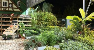 img_0211.jpeg img_0211.jpeg