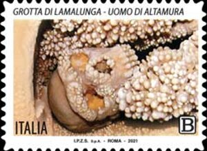 professioni_sanitarie.jpeg professioni_sanitarie.jpeg