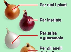 img_9506.jpeg img_9506.jpeg