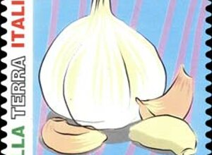 medici_senza_frontiere.jpeg medici_senza_frontiere.jpeg