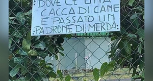 news%20dal%20web%20(14)