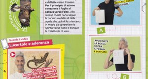 immagini%202025_20250727_0032.jpeg immagini%202025_20250727_0032.jpeg