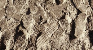 ostia%20monumento.jpeg ostia%20monumento.jpeg