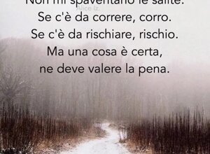 429d94f4-5c6c-4442-ab2f-dd5d19ce4153.jpeg 429d94f4-5c6c-4442-ab2f-dd5d19ce4153.jpeg