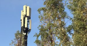 occhio.jpeg occhio.jpeg