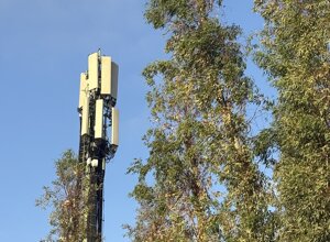 napoli notte 5 rid.jpeg