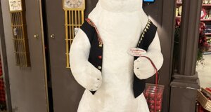 img_0212.jpeg img_0212.jpeg