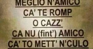 img_9987.jpeg img_9987.jpeg