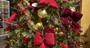 img_0214.jpeg img_0214.jpeg