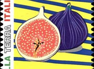 murgia4.jpeg murgia4.jpeg