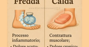 news%20dal%20web%20(3)