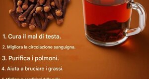 img_9767.jpeg img_9767.jpeg