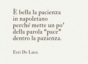 img_9398.jpeg img_9398.jpeg