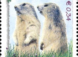 turismo4_big.jpeg turismo4_big.jpeg