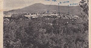 img_20231219_0014.jpeg img_20231219_0014.jpeg