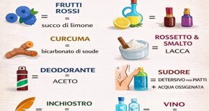 img_9976.jpeg img_9976.jpeg