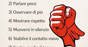 img_9860.jpeg img_9860.jpeg