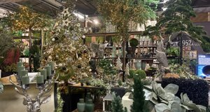 img_0223.jpeg img_0223.jpeg