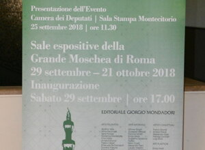 dsc_0018_ridimensionare.jpeg dsc_0018_ridimensionare.jpeg